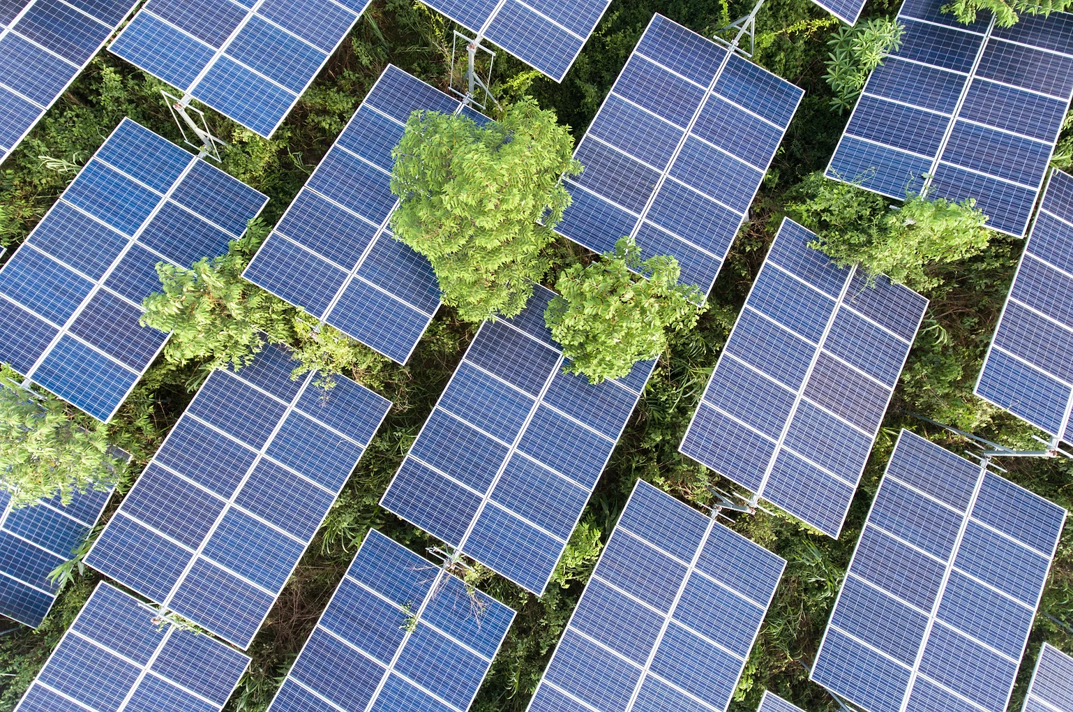 Why Independent Energy Advice Is Important Before Investing in Solar, Battery Storage or EV Charging